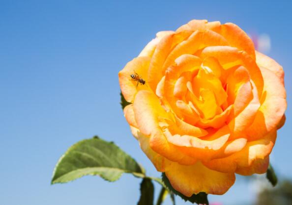 人生语录文案写给自己