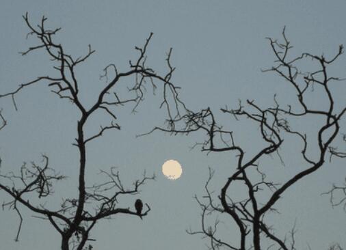 人在吃亏中成长的句子文案