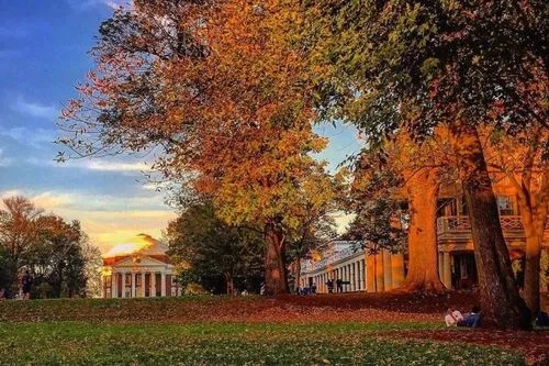 描写校园的优美句子文案