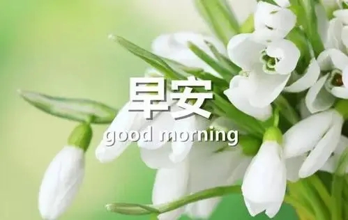 温暖人心的早安朋友圈