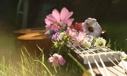 简单的快乐唯美句子文案