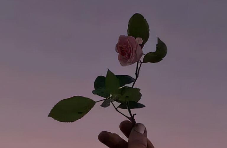 中午好老婆句子文案