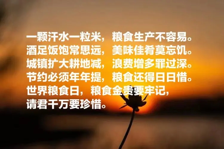 节约粮食的文采句子文案
