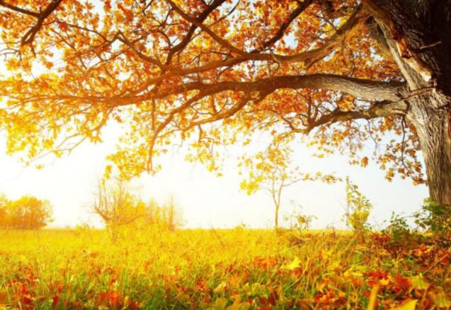 发个明天休息的句子文案