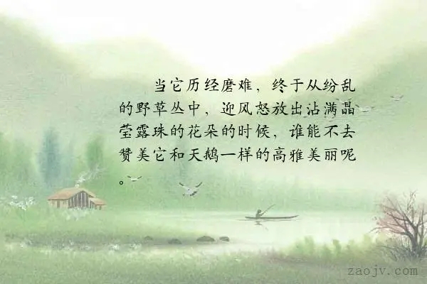 关于终于的句子文案