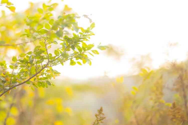 伤感的话语发朋友圈