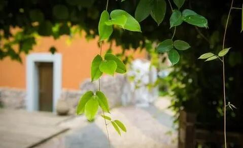 乡村生活安静唯美句子文案