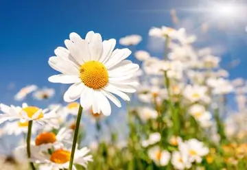 一句充满正能量的话