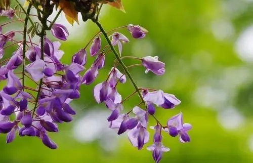 回忆美景的句子文案