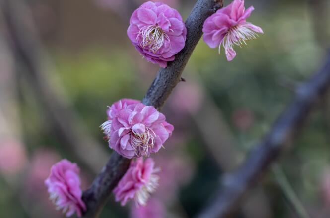 讽刺女生虚伪的短句说说文案