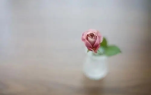 现实扎心的句子文案学生