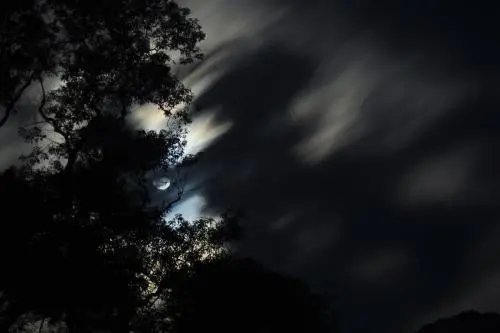 描写夜晚黑乎乎害怕的句子文案