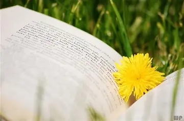 鼓励自己说说文案心情短语