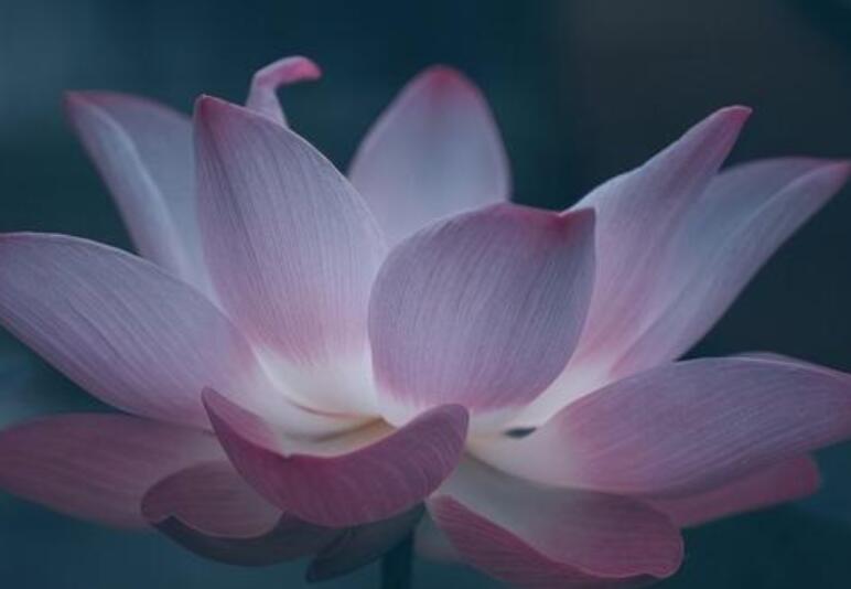 控制自己情绪的一段话