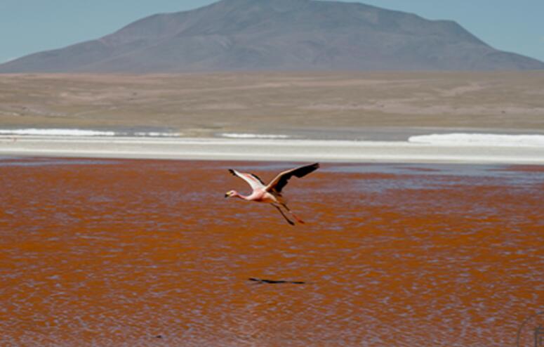 多干活不吃亏的名言