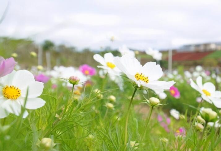闭嘴少说话的经典语句文案