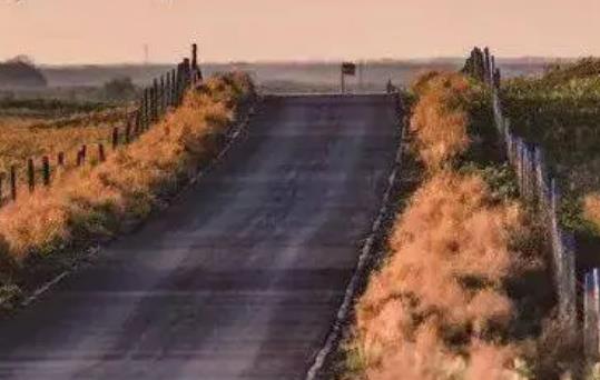 每日一签心语图片2021