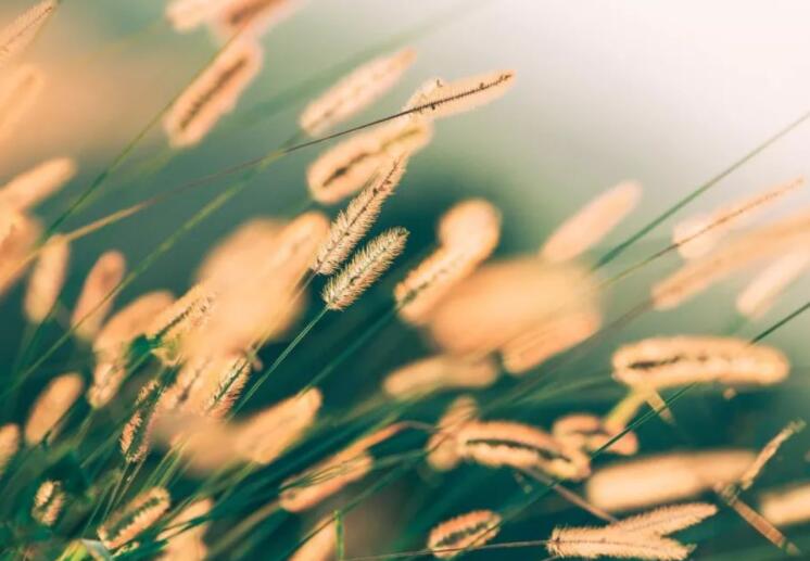 表示失落的心情的诗句文案