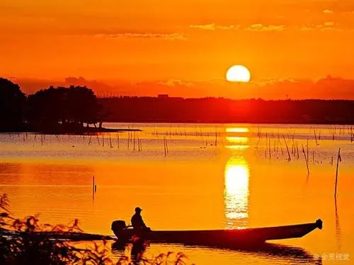 歌颂太阳的诗歌