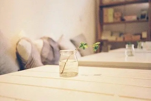 从此一个人生活的句子文案