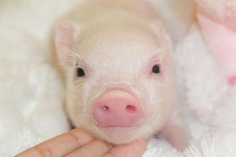 无聊的一天幽默说说文案