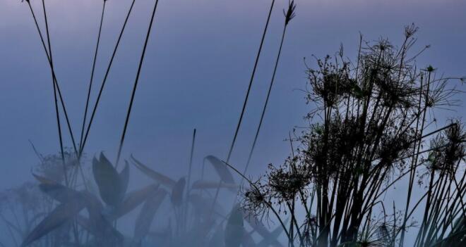 情感伤心语录文案文字