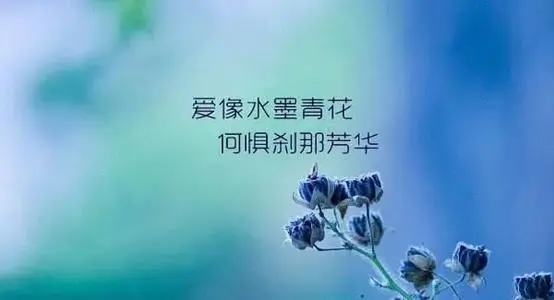 感悟人生唯美句子文案短句