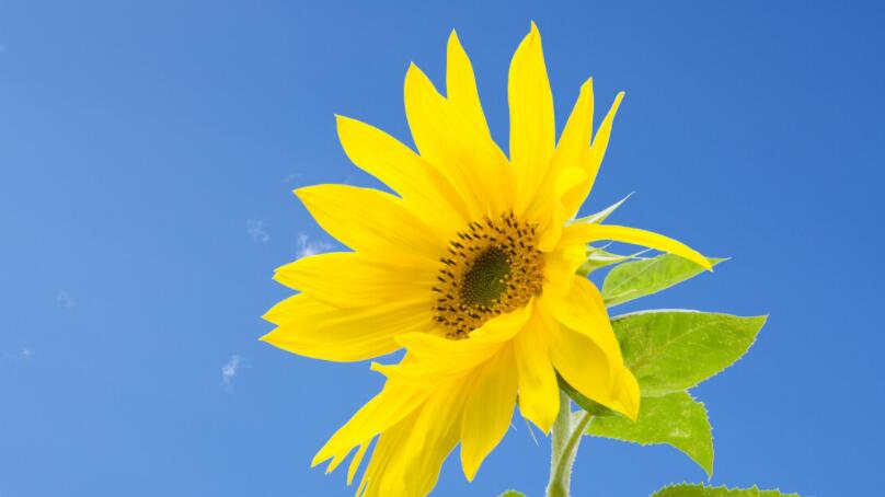 早安激励人心的话