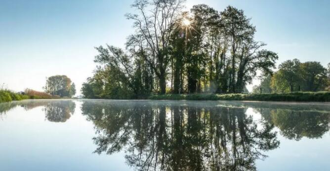 描写水中树倒影的优美句子文案