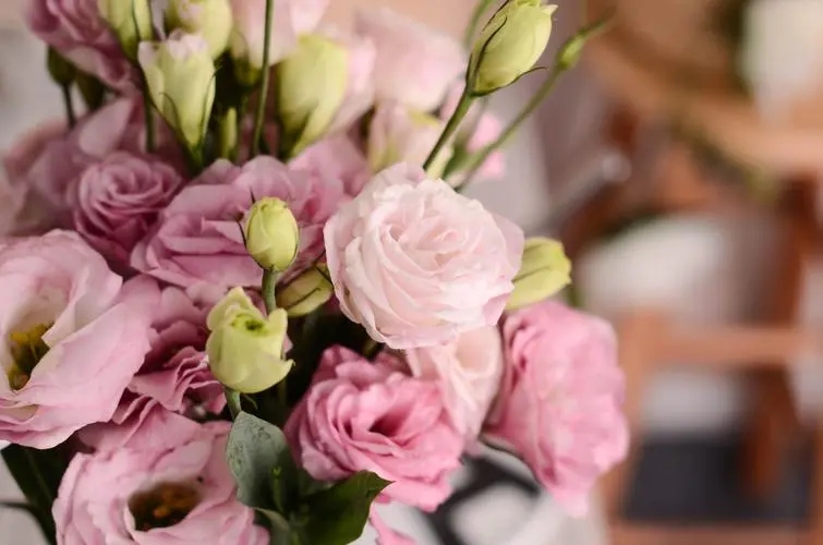 遇到喜欢的东西的说说文案