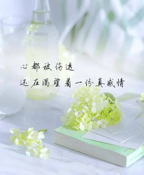 伤感又心痛的短句子文案