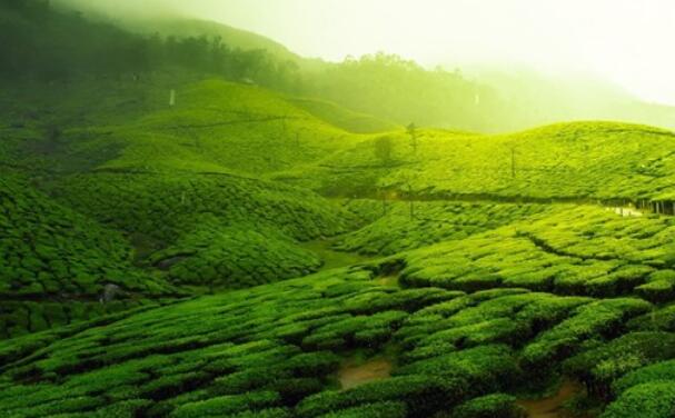 卑微到极致的短句