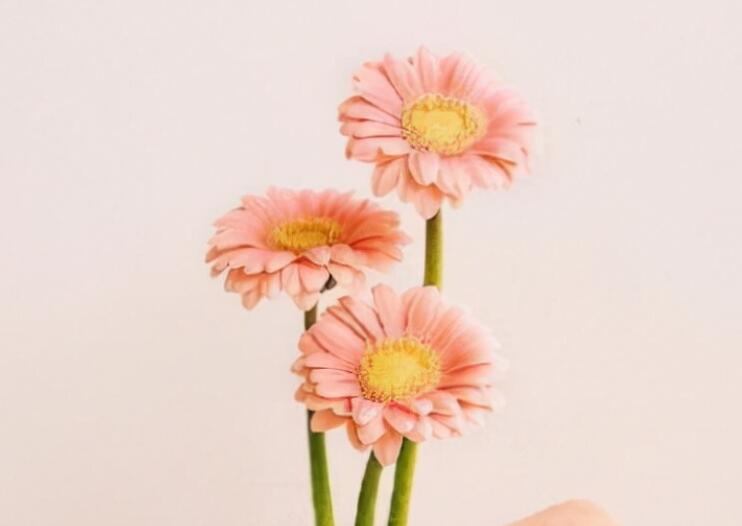 经典语录文案青春励志