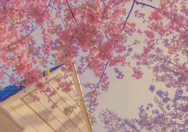 不辜负自己的短句