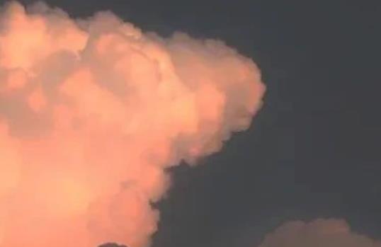 名人爱情经典摘抄语录文案