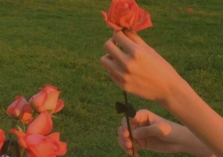 朋友圈高级感情文案