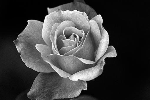 回忆往事伤感的句子文案