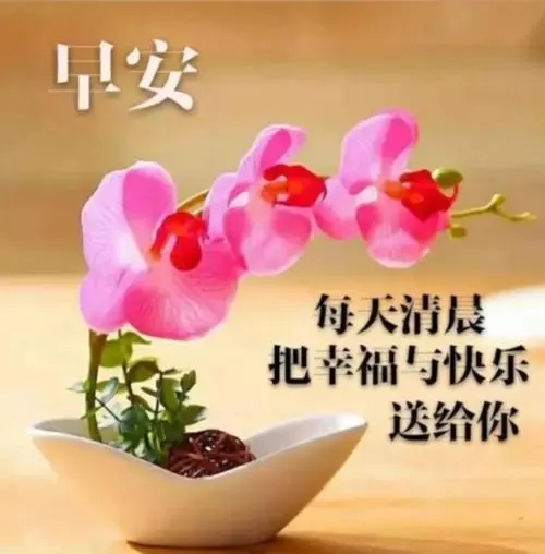 思念牵挂早安心语