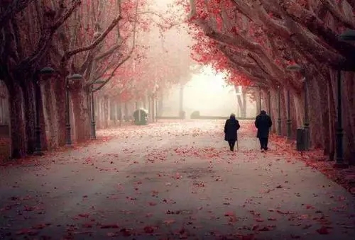 关于找对象的幽默句子文案