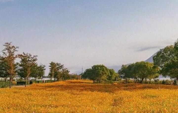 早上刚起来的好句子文案