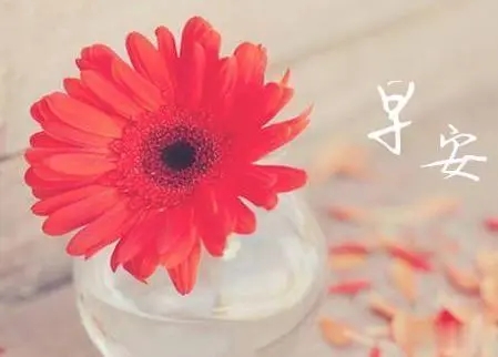 醒的太早的幽默说说文案