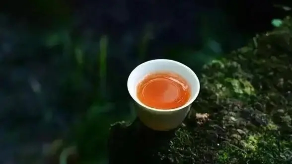 描写茶的优美句子文案