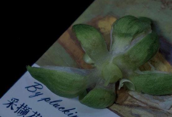 表达不满的说说文案