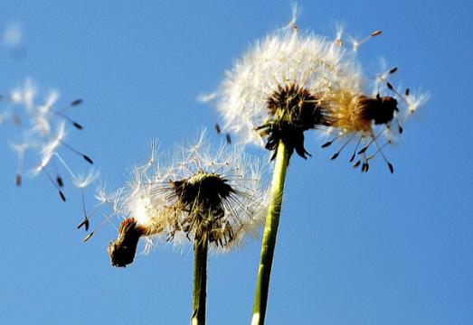 励志语录文案经典短句