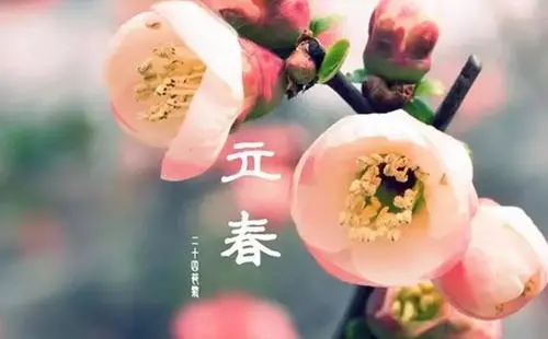 春天语录文案朋友圈