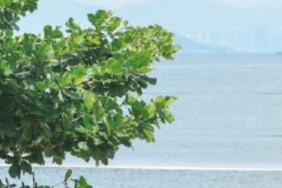 离开渣男的霸气说说文案