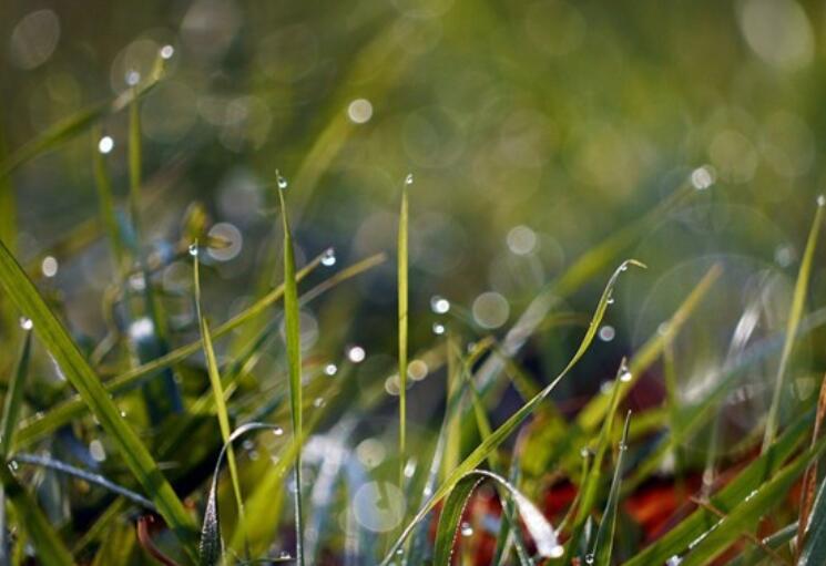 劝人失败后振作的话