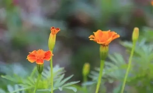 一切从头开始唯美句子文案