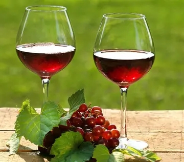 红酒配人生的感悟句子文案