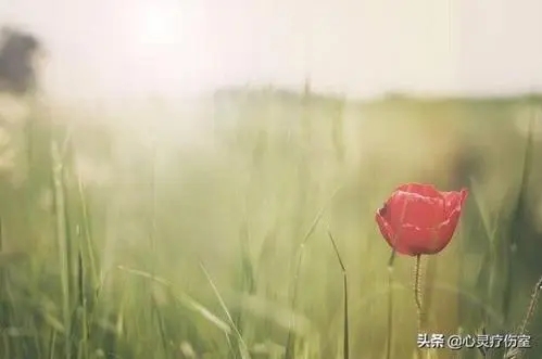 恭喜朋友恢复单身的祝福语